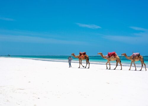 Beach Holiday in Diani