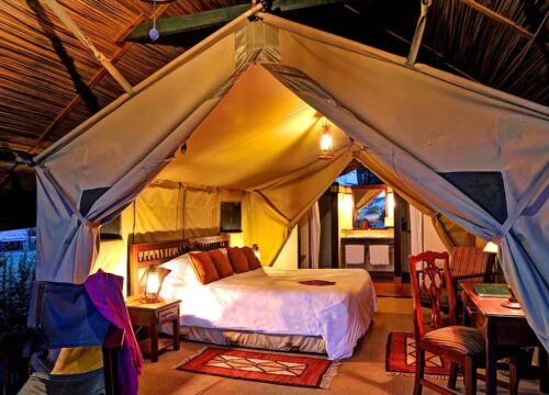 Beautiful Bush Holidays