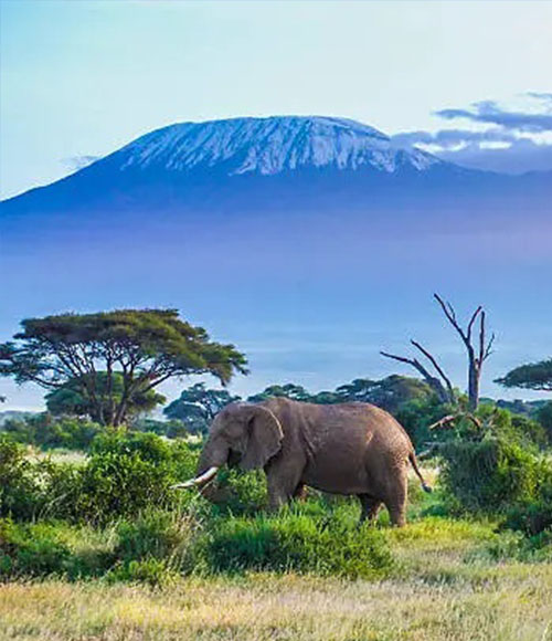 Amboseli